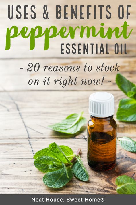 Peppermint oil is very versatile. Use it to deodorize your home, and treat common ailments. Here are 20 peppermint oil uses and its benefits. #peppermintoil #pepperminteo #homeremedies #neathousesweethome Cannoli Bites Recipe, Cannoli Bites, Pepermint Oil, Peppermint Essential Oil Benefits, Peppermint Essential Oil Uses, Toothache Remedies, Peppermint Oil Uses, Peppermint Oil Benefits, Peppermint Tea Benefits