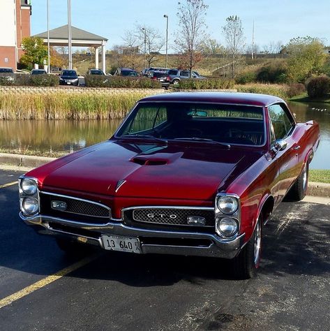 67 Pontiac Gto, 1967 Gto, Gto Car, Pontiac Cars, American Classic Cars, Us Cars, Pontiac Gto, Hot Rods Cars, Vintage Trucks