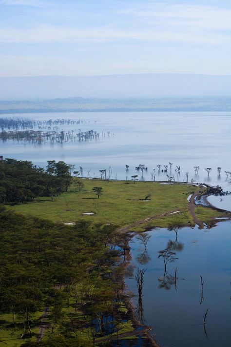 Lake Baringo Kenya, Cliff View, Lake Nakuru, View Point, Baboon, Africa Travel, The View, Kenya, Vision Board