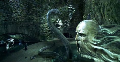 Harry Potter: 10 Hidden Details About Basilisks You Probably Missed Basilisk Harry Potter, Harry Potter Props, Harry Potter Face, The Chamber Of Secrets, Harry Potter And The Chamber Of Secrets, Potter Facts, Chamber Of Secrets, Harry Potter Facts, Harry Potter Books