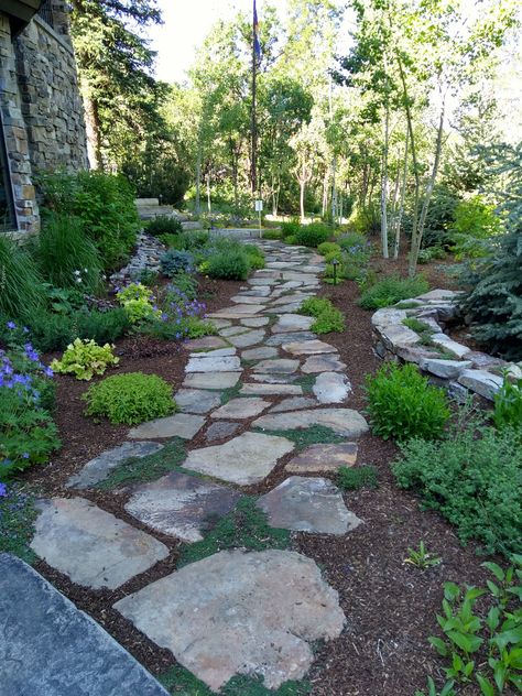 Flagstone Pathway Front Yard, Mixed Material Pathway, Simple Slope Landscaping, Stone Path With Moss, Rockscaping Landscaping Ideas, Star Gazing Platform Backyard Ideas, Landscape Ideas Around House Foundation, Front Yard With Pathway, Natural Pathway Ideas