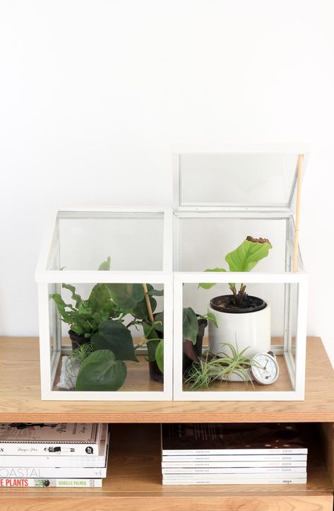 Make a Mid-Century Modern Greenhouse from Photo Frames | Dossier Blog Plant Raisers, Diy Mini Greenhouse, Modern Greenhouse, Dollar Store Home Decor, Greenhouse Indoor, Modern Greenhouses, Indoor Greenhouse, Greenhouse Plants, Small Greenhouse