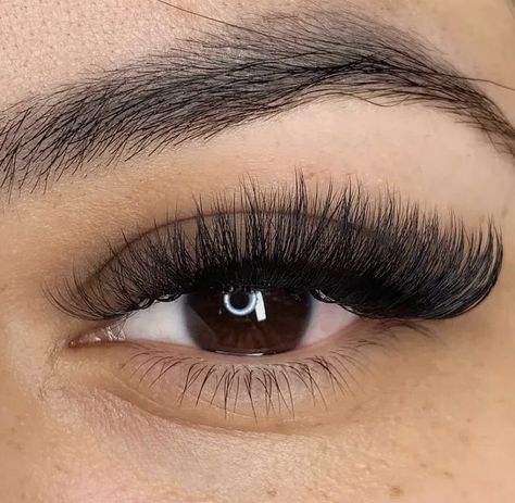 Long Cateye Eyelashes Extensions, Eyelash Extensions Volume Cat Eye, Cateye Eyelashes Extensions Volume, Volume Cateye Extensions, Cateye Volume Eyelash Extensions, Volume Lash Extensions Styles Cat Eye, Cat Eye Russian Lashes, Russian Volume Lashes Cat Eye, Eyelash Extensions Styles Volume