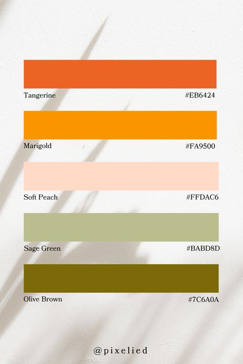 This Green & Orange Tone palette showcases bold tangerine, vibrant marigold, delicate soft peach, muted sage green, and deep olive brown. The mix of warm, bright tones with grounding earthy shades makes it ideal for balanced and visually appealing designs. Peach Olive Color Scheme, Muted Sage Green, Olive And Peach Color Palettes, Vibrant Earth Tones, Marigold Color Palette, Color Palette Sage Green, Sage Green And Peach, Sustainable Event, Color Scheme Generator