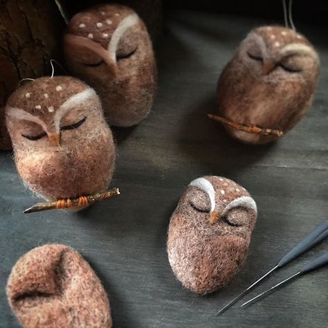 Felted Owl, Tovad Ull, Felt Wool Ball, Needle Felted Owl, Felted Birds, Hantverk Diy, Needle Felting Ideas, Felt Owls, Needle Felting Diy