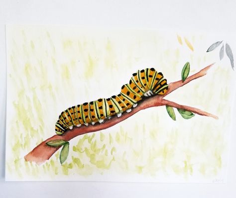 Lesson 2, Watercolor with Me in the Forest by Dana Fox.  This was a fun little picture.  #everydaywatercolor #watercolor #watercolorwithme #caterpillar Watercolor Caterpillar, Caterpillar Painting, Caterpillar Drawing, Watercolor Painting Easy, Monarch Butterfly Garden, Crawdads Sing, Waldorf Art, Natural Form Art, Butterfly Art Painting