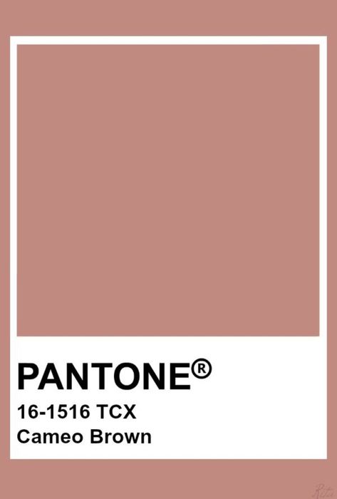 Earth Pantone, Pantone Colors Earth Tone, Pantone Peach Shades, Muted Salmon Color, Pantone Brown, Pantone Brown Earth Tones, Pantone Salmon Pink, Dark Peach Color, Pink Earth