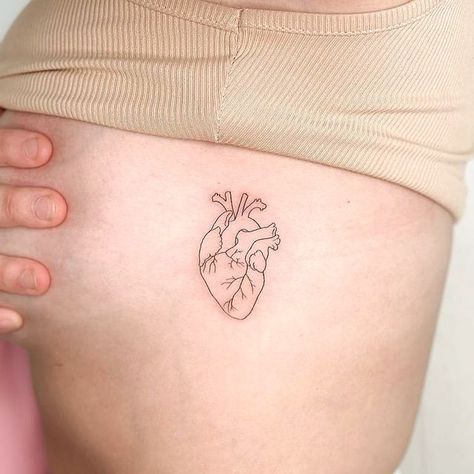 Anatomical Heart And Lungs Tattoo, Heart Tattoo On Heart, Black And White Anatomical Heart Tattoo, Anatomical Heart Outline Tattoo, Fineline Anatomical Heart Tattoo, Atomical Heart Tattoos Simple, Anatomical Heart Chest Tattoo, Biological Heart Tattoo, Tiny Anatomical Heart Tattoo