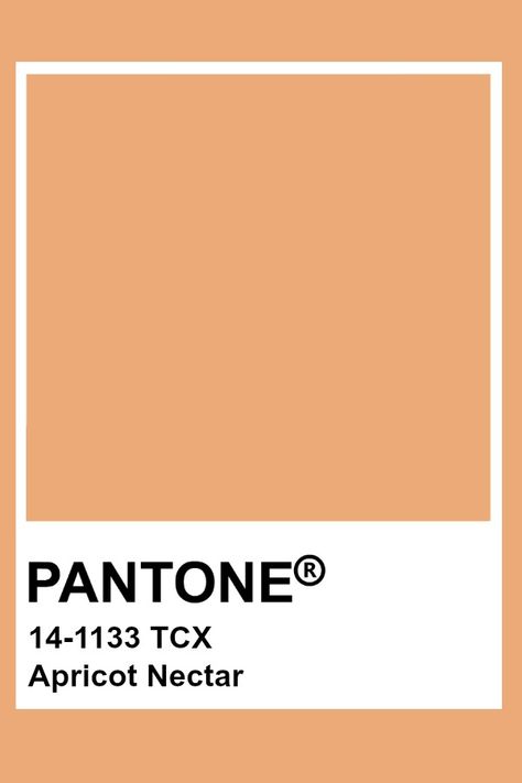 Pantone Apricot Nectar Apricot Pantone, Apricot Color Palette, Apricot Aesthetic, Older Aesthetic, Apricot Colour, Pantone Orange, Apricot Nectar, Pantone Tcx, Pantone Color Chart