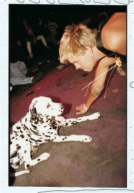 Bradley Sublime, Bradley Nowell, Lou Dog, Sublime Band, Tenacious D, Artist Wall, Warning Sign, Dog Runs, My Favorite Music