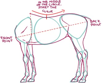 Horse Body Reference, How To Draw A Centaur, Centaur Tutorial, Horse Body Drawing, How To Draw Horses, Draw Horse, Horse Drawing Tutorial, Draw A Horse, Drawing Horses