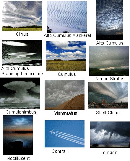 Different Types of Clouds I need to memorize so I stop taking pictures to send to my bro asking what kind they are. Eco School, Cloud Types, Types Of Clouds, Cloud Type, Weather Science, Cloud Formations, Weather Cloud, Earth And Space Science, Weather And Climate