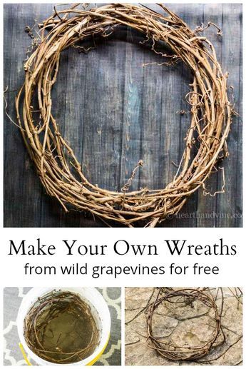 Things To Make With Grape Vines, How To Make Grapevine Wreaths Easy Diy, Vine Crafts Ideas, How To Make A Vine Wreath, Grape Vine Projects, How To Make A Twig Wreath, Making Grapevine Wreaths, Grapevine Diy Ideas, Diy Vine Wreath How To Make