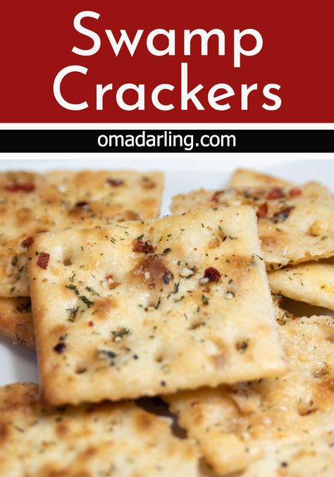 Swamp Crackers, Firecrackers Saltines, Spicy Saltines, Seasoned Saltine Crackers, Saltine Cracker Recipes, Easy Homemade Crackers, Ranch Crackers, Spicy Crackers, Homemade Crackers Recipe