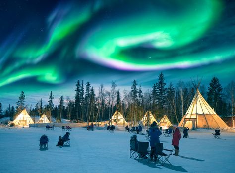 Amazing northern lights dancing over the tepees at Aurora Village in Yellowknife. Nature, Trondheim, Lofoten, Tromso, Aurora Village, 7 Natural Wonders, See The Northern Lights, Seven Wonders, The Aurora