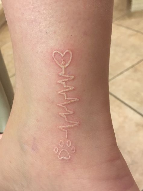 Ankle tattoo, dog tattoo, dog heartbeat tattoo Heartbeat Dog Paw Tattoo, Heartbeat Paw Print Tattoo, Dog Heartbeat Tattoo, Tattoo Ideas Heartbeat, Remy Tattoo, Ecg Tattoo, Heartbeat Tattoos, Dogs Tattoo Ideas, Dogs Tattoo