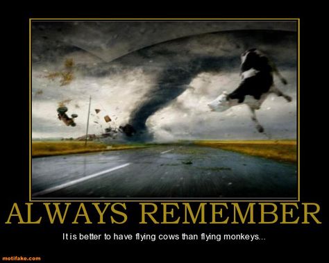 Flying Monkeys, Demotivational Posters, Always Remember, Monkeys, Memes, Funny, Movie Posters, Film Posters