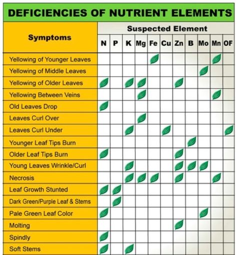 plant nutrient deficiency key Plant Deficiencies, Hydroponics Diy, Plant Nutrients, Plant Problems, Nutrient Deficiency, Aquaponics System, Plant Diseases, Plant Science, Homestead Survival