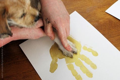 Family Hand And Paw Prints, Diy Dog Momentos, Puppy Paw Print Art Diy, Puppy Paw Print Art Cute Ideas, Dog Paw And Human Hand Print Painting, Diy Dog Paw Print Paint, Art With Dog Paws, Dog Paw Print Keepsake Diy, Dog Nose Print Art Diy