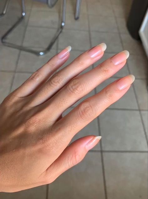 Natural Nail Shape Long, Clean Long Nails Aesthetic, Long Pretty Nails Natural, Long Strong Natural Nails, Mid Length Natural Nails, Rounded Long Nails, Healthy Strong Nails, Long Healthy Nails Natural, Nail Growth Aesthetic