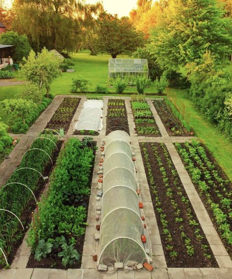 Very Large Garden Design, House On 2 Acres, Large Acres Of Land, Vertical Garden Layout, 2023 Outdoor Home Trends, Market Garden Ideas, Homestead Garden Layout Backyards, Backyard Orchard Layout, 10 Acre Farm Layout