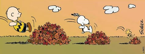 Fall is here.... Thanksgiving Facebook Covers, Fall Facebook Cover, Fall App Icons, Seasonal Color Palette, App Icons For Iphone, Snoopy Tattoo, Icons For Iphone, Home Screen Aesthetic, Great Pumpkin Charlie Brown