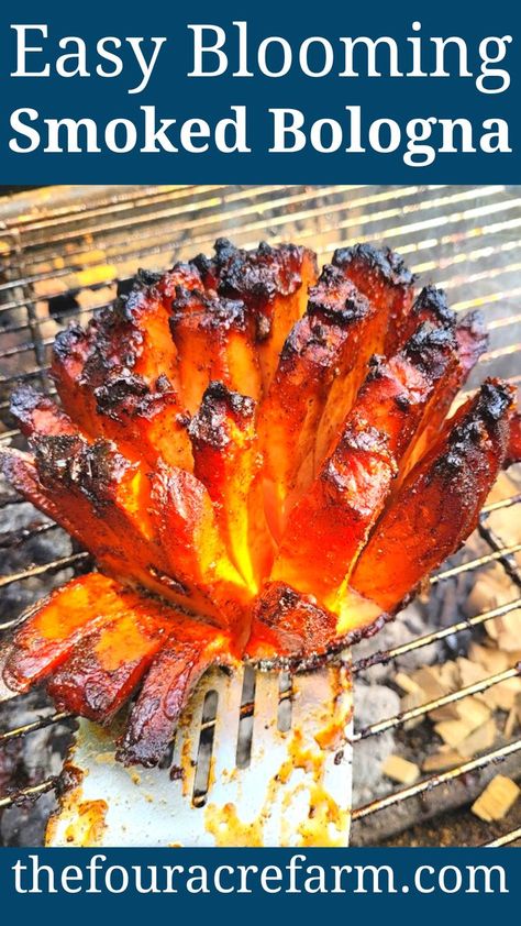 Smoker Cooking, Smoked Bologna, Bologna Recipes, Easy Dinner Desserts, Bbq Smoker Recipes, Easy Chicken Enchilada Recipe, Meat Smoker, Pellet Grill Recipes, Traeger Recipes