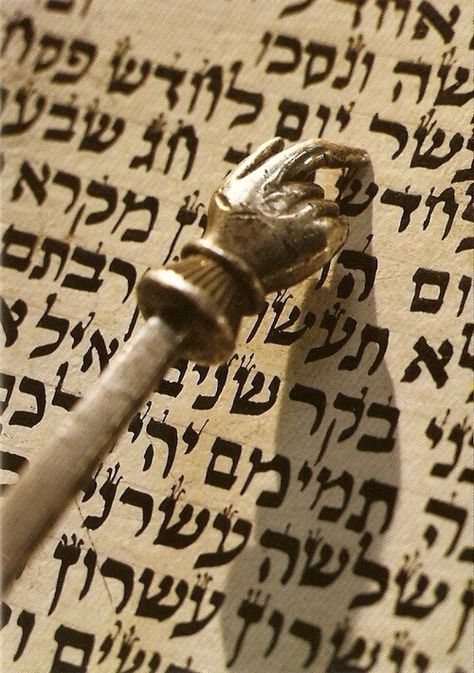 Hebrew Writing, Torah Scroll, Simchat Torah, Hebrew Roots, Jewish Heritage, Hebrew Language, Learn Hebrew, Jewish Culture, Jewish History