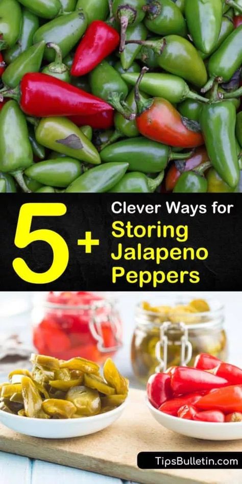 How To Save Jalapeno Peppers, Can You Freeze Jalapeno Peppers, Storing Jalapeno Peppers, How To Can Jalapeno Peppers, How To Preserve Jalapeno Peppers, Preserving Jalapeno Peppers, Can Jalapeno Peppers, Store Jalapenos, Canning Jalapeno Peppers