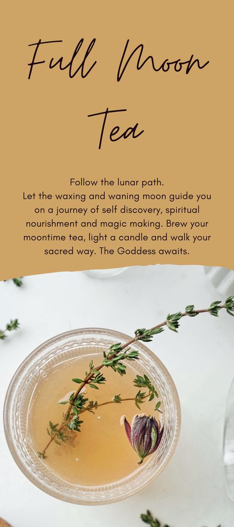 Harvest Moon Recipes, Full Moon Herbs, Moon Tea Recipe, Lunar Powers, Full Moon Witchcraft, Tea Witchcraft, Full Moon Tea, Tea For Health, Moon Witchcraft