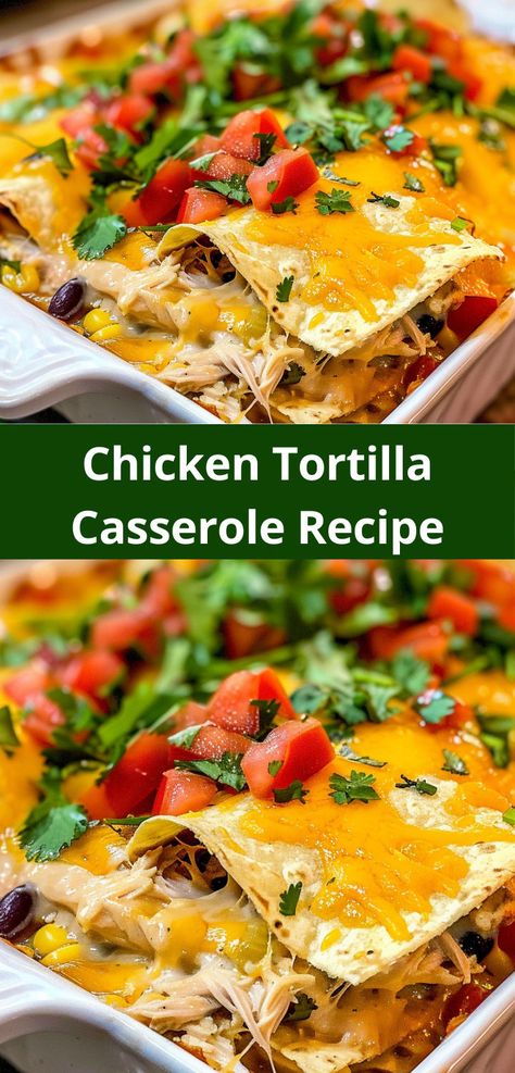 My picky eater husband loved this Chicken Tortilla Casserole! He even asked for seconds. Definitely making this again. Casserole Using Corn Tortillas, Tortilla Casserole Recipes Chicken, Mexican Chicken Casserole With Tortillas, Chicken And Corn Tortilla Recipes, Flour Tortilla Casserole Recipes, Chicken Tortilla Casserole Recipes, Corn Tortilla Recipes Dinners, Corn Tortilla Casserole, Tortilla Casserole Recipes