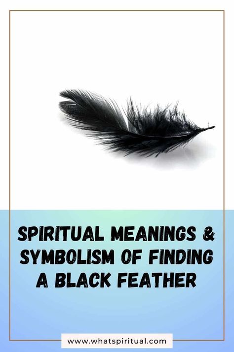 10 Meanings of Finding Black Feather (Spiritual & Biblical) 2 Meaning Of Black Feather, Red Feather Meaning, Black Feather Meaning, 10 Meaning, Finding Feathers, Feather Tattoo Meaning, Feather Meaning, Crow Feather, Angel Feathers