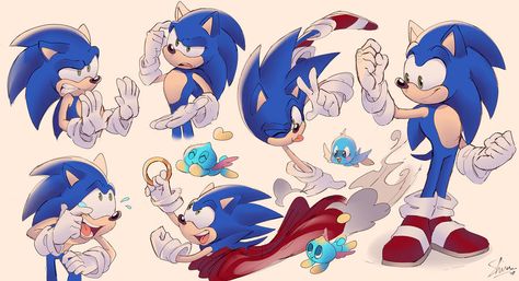 Sonic sketches by Shira-hedgie on DeviantArt Sonic Redesign, Sonic Reference, Hedgehog Character, Sonic Mania, Speed Art, Sonic Characters, Blue Hedgehog, Hedgehog Art, Sonic And Shadow