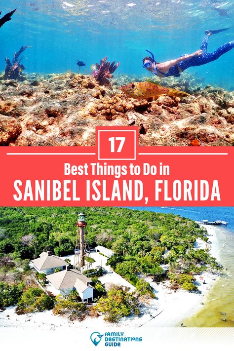 Want to see the most incredible things to do in Sanibel Island, FL? We’re FamilyDestinationsGuide, and we’re here to help: From unique activities to the coolest spots to check out, discover the BEST things to do in Sanibel Island, Florida - so you get memories that last a lifetime! #sanibelisland #sanibelislandthingstodo #sanibelislandactivities #sanibelislandplacestogo Sanibel Island Beaches, Sanibel Florida, Captiva Island Florida, Beautiful Seashells, Florida Family Vacation, Activities Outdoor, Florida Adventures, Sanibel Island Florida, Captiva Island