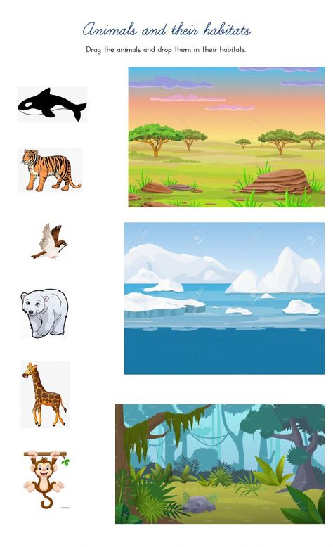 Animal Habitats Preschool, Classifying Animals, Animals And Their Habitats, Habitat Activities, Animal Classification, Continents And Oceans, Animal Worksheets, Kids Math Worksheets, Animal Habitats