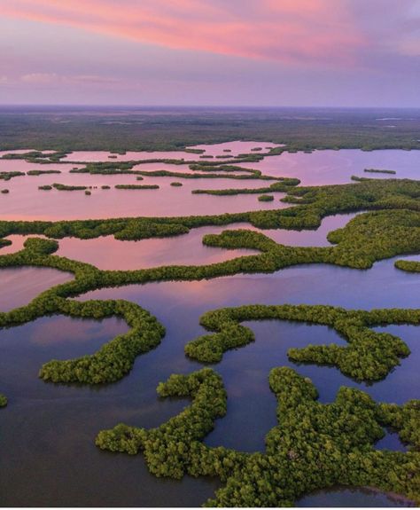 Cessna 172, Everglades Florida, Everglades National Park, Mangrove Forest, Usa Beaches, Nature Architecture, Thousand Islands, Breathtaking Places, Ten Thousand