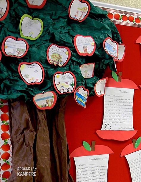 Apple themed bulletin board ideas to display student work Collective Nouns Activities, Noun Activity, September Apples, Apple Bulletin Boards, Catechism Crafts, Display Student Work, Kindergarten September, Bulletin Board Tree, Apple Classroom