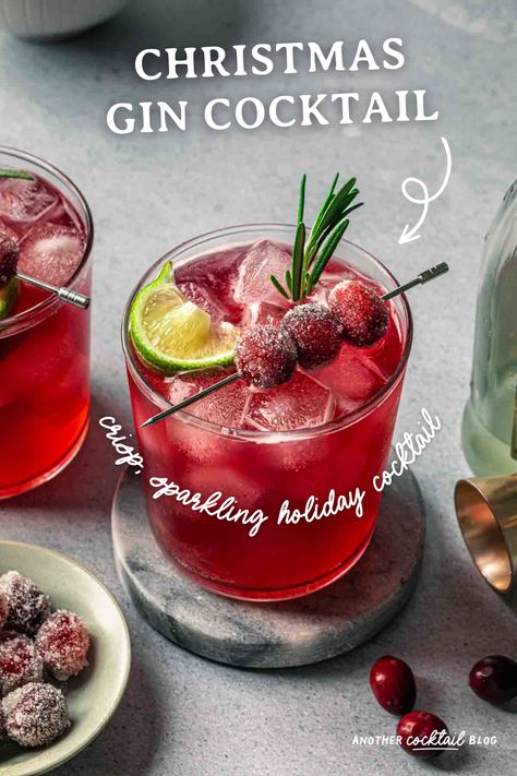 Made with cranberry juice, maple syrup and a splash of ginger beer, this Christmas gin cocktail is crisp and refreshing. We've garnished it with fresh rosemary and sugared cranberries for a festive, vibrant cocktail that will be the hit of your holiday gathering. Cranberry Gin Spritz, Holiday Cocktails Gin, Christmas Gin And Tonic, Gin Cranberry Cocktail, Gin Winter Cocktails, Christmas Cocktails Gin, Gin Holiday Cocktail, Holiday Gin Cocktails, Cranberry Juice Cocktails