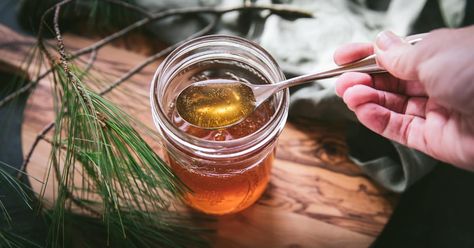 Infusing Honey, Raw Honey Recipes, Winter Foraging, Pine Needle Tea, Spruce Tips, Fermented Honey, Infused Honey, Tasty Cookies, Winter Cocktail