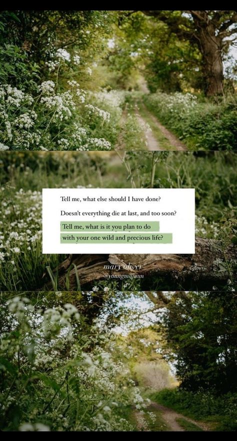Tell me, what else should I have done? Doesn't everything die at last, and too soon? Tell me, what is it you plan to do with your one wild and precious life? -Mary Oliver One Wild And Precious Life, Wild And Precious Life, Poems About Life, Mary Oliver, World Of Books, Done With You, Too Soon, I Have Done, At Last