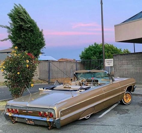 64 Impala Lowrider, Lowrider Culture, Lowrider Hydraulics, Impala Lowrider, Lowrider Model Cars, 1967 Chevrolet Impala, Cars Driving, 64 Impala, Lowrider Trucks