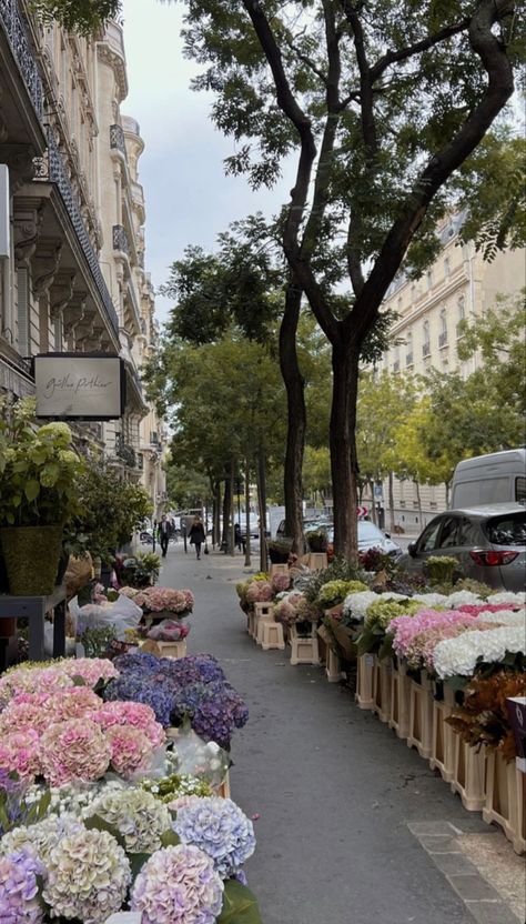 White Hydrangea Aesthetic, Flower Instagram Story Ideas, Hydrangeas Aesthetic, Flower Instagram Story, Aesthetic Flower Market, Flowers Instagram Story, Flower Market Aesthetic, French Flower Market, London Flower Market