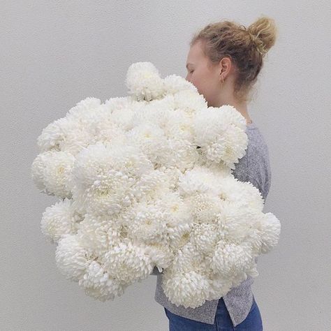 White Mums Flowers, Disbuds Flower, White Mums Wedding, White Chrysanthemum Bouquet, White Chrysanthemum Flower, Secret Supper, Chrysanthemum Wedding, Chrysanthemum Bouquet, Mum Flowers