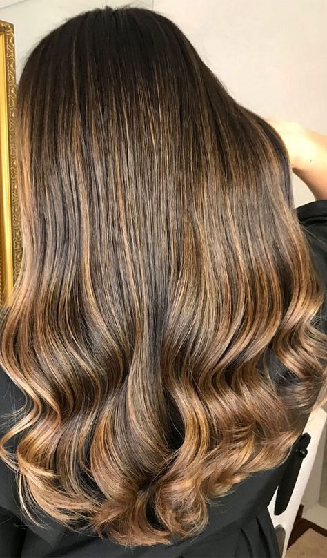 Honey Gold Highlights On Dark Hair, Hazelnut Hair Color, Hazelnut Hair, Honey Highlights, Brown Hair Looks, Brown Hair Inspo, Brunette Balayage, Brunette Hair With Highlights, Hair Brunette