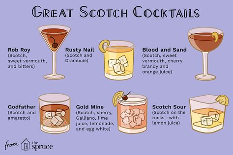 While you may like to sip scotch, there's no reason to pass up a scotch cocktail. Explore classic favorites and new recipes that show off this whisky. Scottish Drinks Cocktails, Scotch Cocktails, Whisky Cocktail Recipes, Scottish Drinks, Manhattan Cocktail Recipe, Cocktail Recipes Whiskey, Manga Reference, Boulevardier, Whisky Cocktails