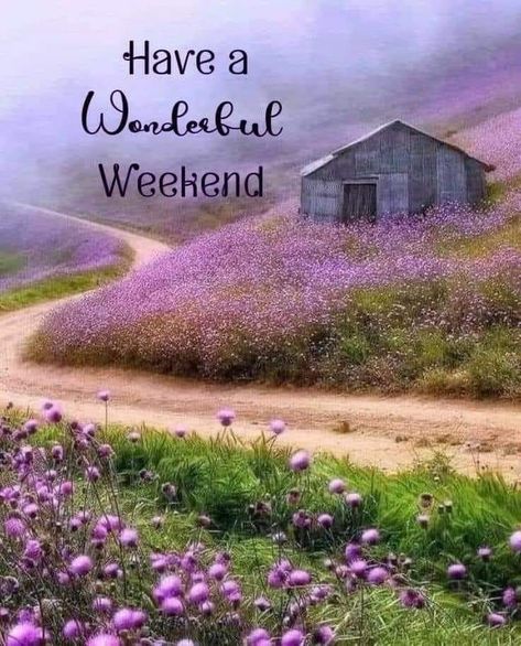 Good Morning Happy Weekend, Weekend Greetings, Weekend Images, Happy Weekend Quotes, Good Morning Happy Sunday, Weekend Quotes, Good Morning Flowers Pictures, Good Morning Beautiful Pictures, Good Morning Prayer