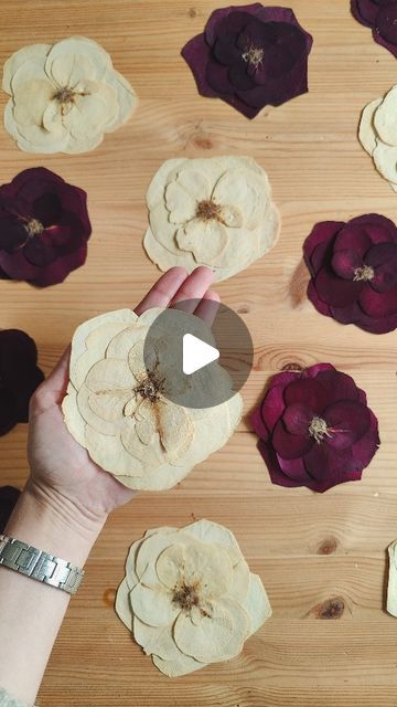 Laura Maquieira | Pressed flower artist on Instagram: "Save to practice later 🫶🏽  I don't go one week without reconstructing roses 🌹   They're the queens of wedding bouquets, although the ones on the video are here to remember someone very special. And no, it's nothing to do with me 🫶🏽  To reconstruct roses I like to start with 5 big petals. Applying a bit of glue on the right edge, to place another petal on top, joining the centres until you get a circle.  For the next rows, choose smaller petals (smaller for every row) and apply the glue where the petal joins the centre and glue it down going in circles. Make as many rows as you want. I normally do 5, 4, 3 and 2 petals, but you can try different ways.  I like adding the dried pistils on the centre too. But that's personal.  Save thi Dried Petals Ideas, Dry Petals Ideas, How To Preserve Rose Petals, Preserving Flower Petals, What To Do With Dry Roses Ideas, Dry Rose Petals Crafts, How To Press Roses, Dried Roses Ideas, Preserve Rose Petals