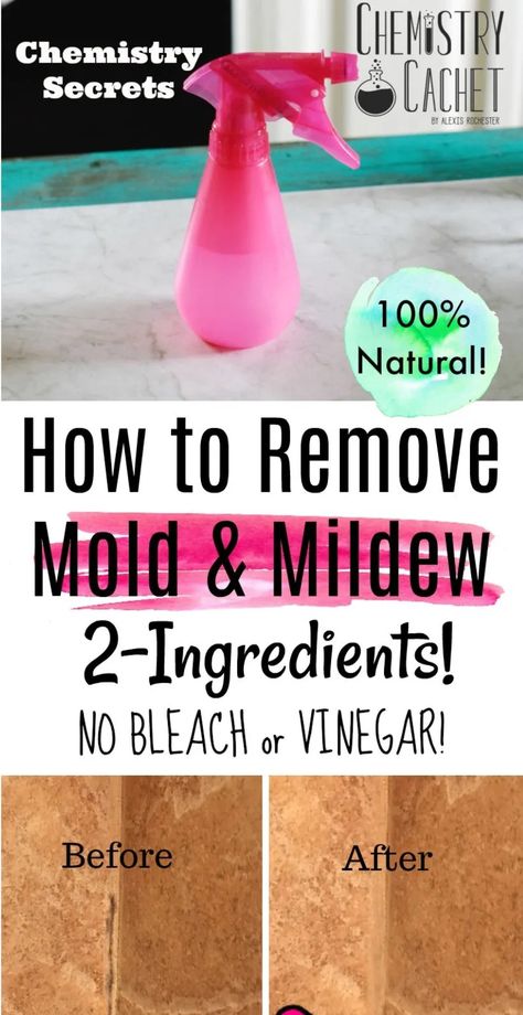 The Best Way to Remove and Clean Mold & Mildew with 2 Ingredients. NO bleach or vinegar! Completely natural and very effective for all parts of your home! This homemade cleaning spray will disinfect the area naturally while killing mold or mildew in your bathroom. Molde, Bathroom Mold, How To Remove Mold, Remove Mold, Homemade Toilet Cleaner, Mildew Remover, Mold In Bathroom, Cleaning Painted Walls, Bathroom Walls