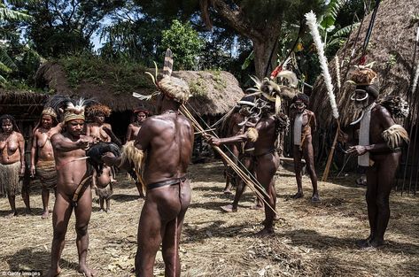 A man from the Dani tribe kills a pig with bow and arrow at Obia Village. Pigs feasts are extremely important to celebrate events communally; the success of a feast, and that of a village organiser, is often gauged by the number of pigs slaughtered Africa Tribes, Tribes Man, West Papua, Cultural Festival, Bow And Arrow, Vanuatu, Travel News, Samoa, Papua New Guinea