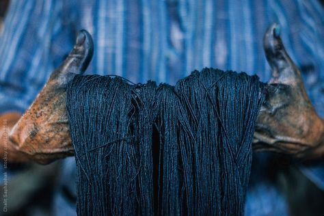 Natural Indigo Dye by Chalit Saphaphak for Stocksy United Nature, Indigo Dyeing, Indigo Textiles, Natural Indigo Dye, Make Fashion, Indigo Shibori, Blue Dye, Indigo Dye, Dye Free